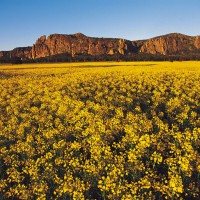 Grampians National Park